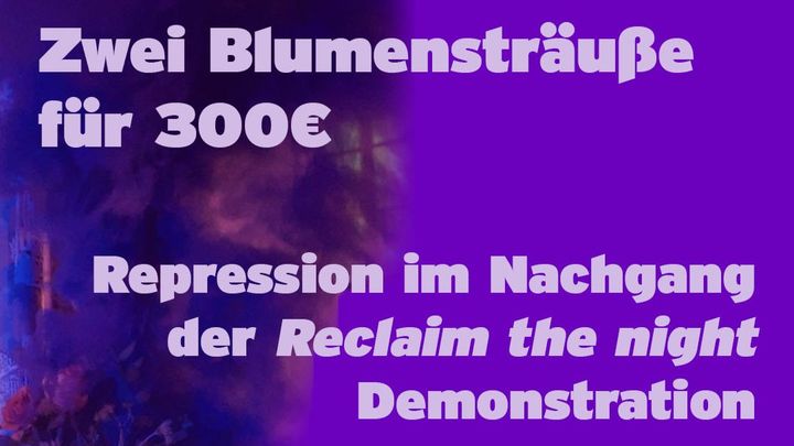 Repression im Nachgang der Reclaim the Night Demonstration campaign photo, 1 of 3