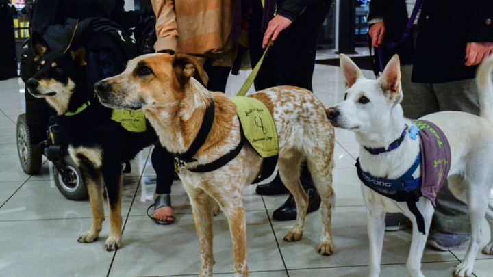 Main fundraiser photo