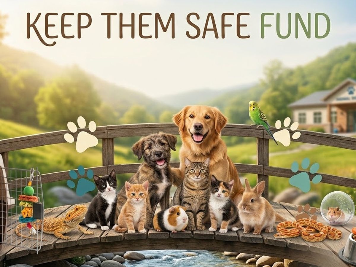 Fundraiser’s main image