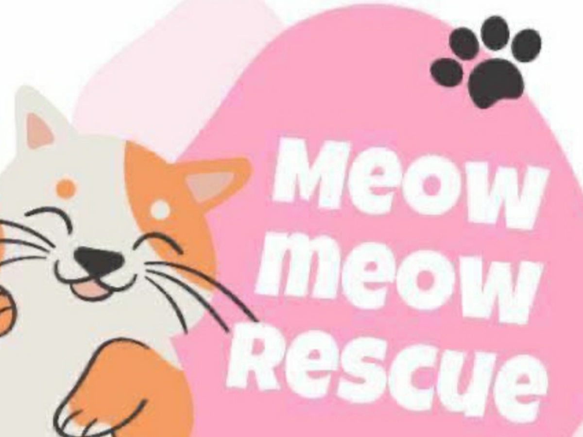 Fundraiser’s main image