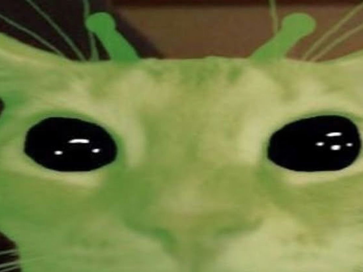 Fundraiser’s main image