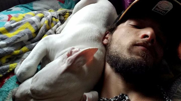 Main fundraiser photo