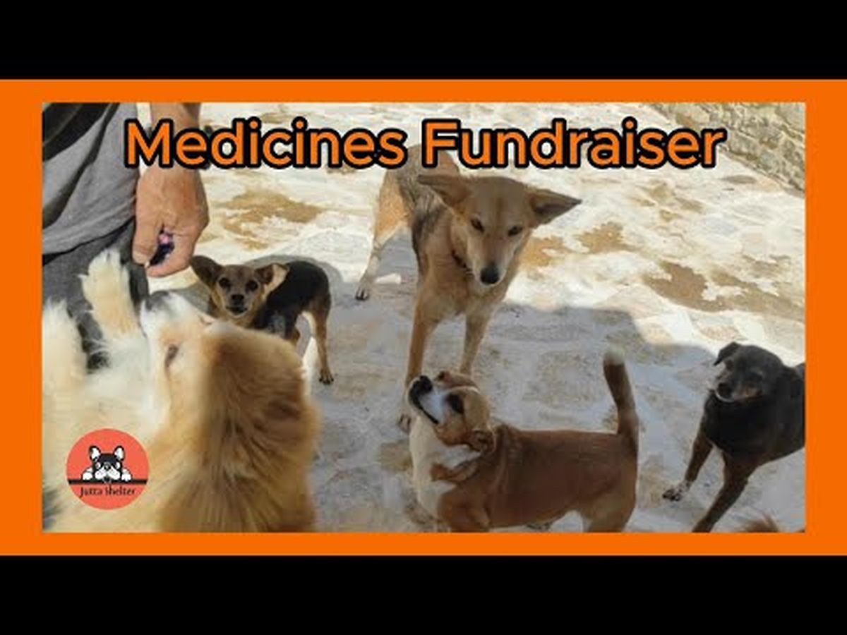 Fundraiser’s main image