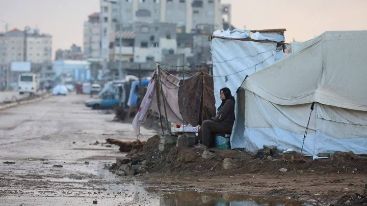 Help a Displaced Family in Gaza Rebuild and Heal campaign photo, 1 of 3