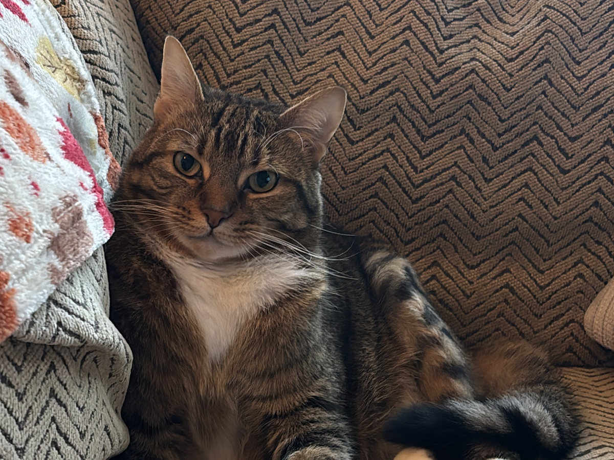 Suki’s Unexpected Second Surgery campaign photo, 1 of 3