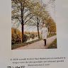 Info seksueelgeweld