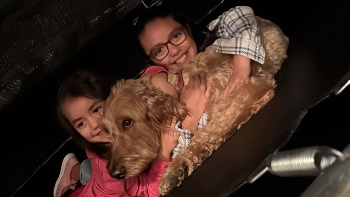 Help Simba Recover from Pneumonia campaign photo, 1 of 4