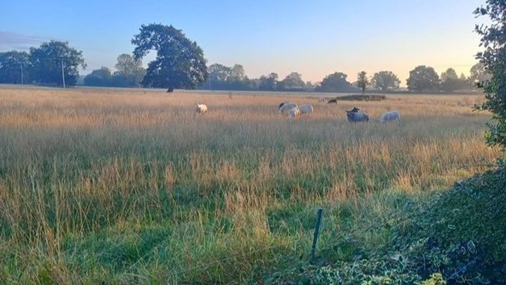 Protect Cheshire East from speculative housing developments campaign photo, 1 of 3