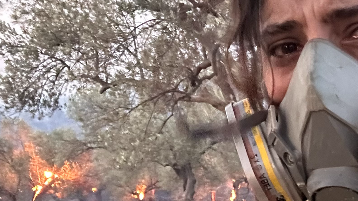 Save Olive Farm: Support Young Farmers in Wildfire Recovery campaign photo, 1 of 8