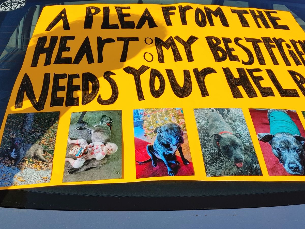 Fundraiser’s main image