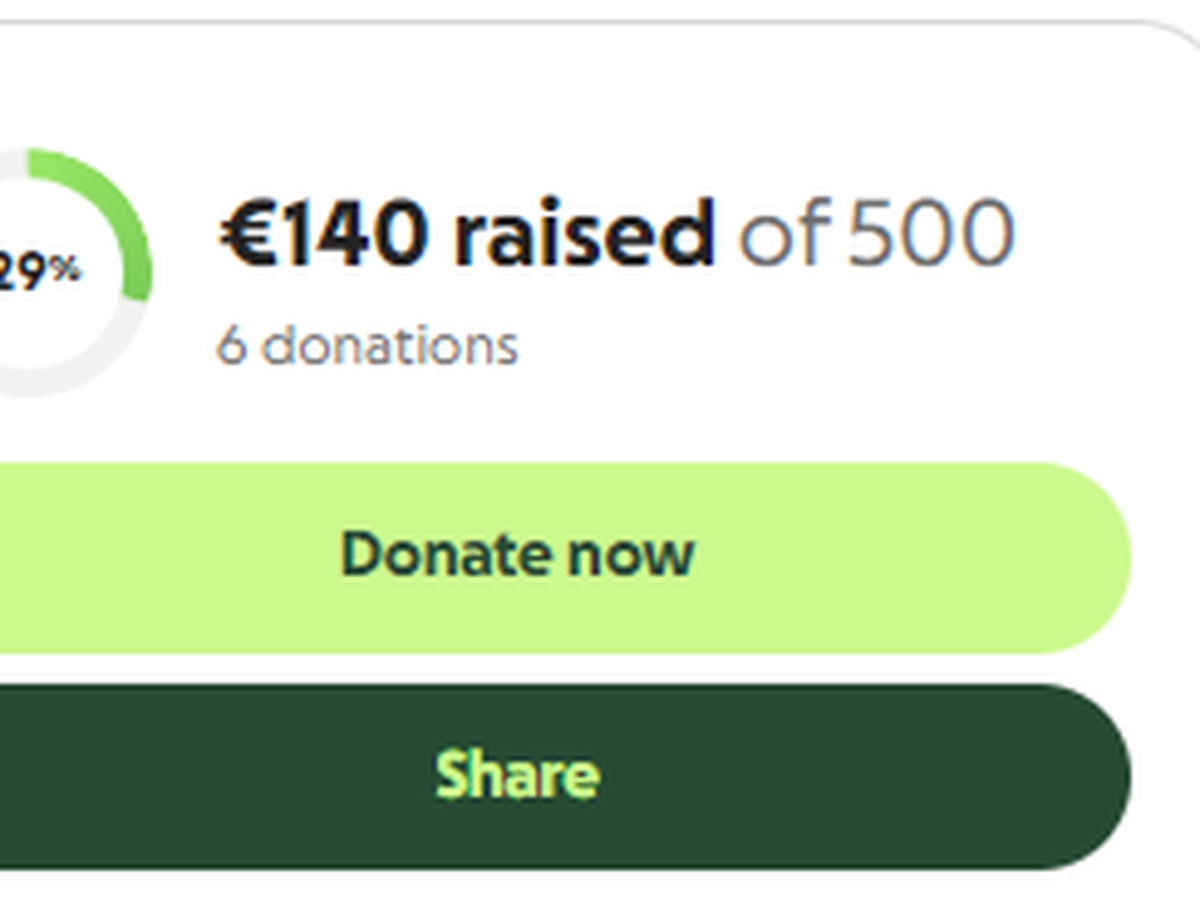 Fundraiser’s main image