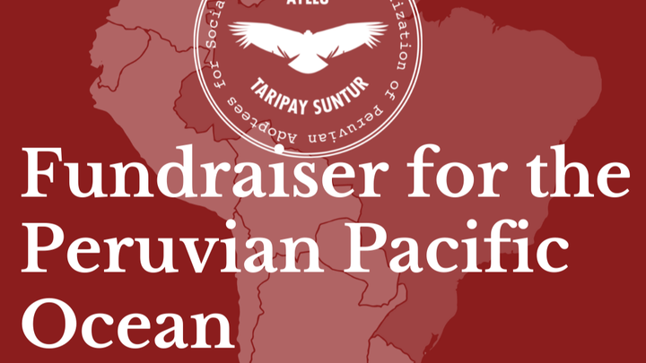 Main fundraiser photo