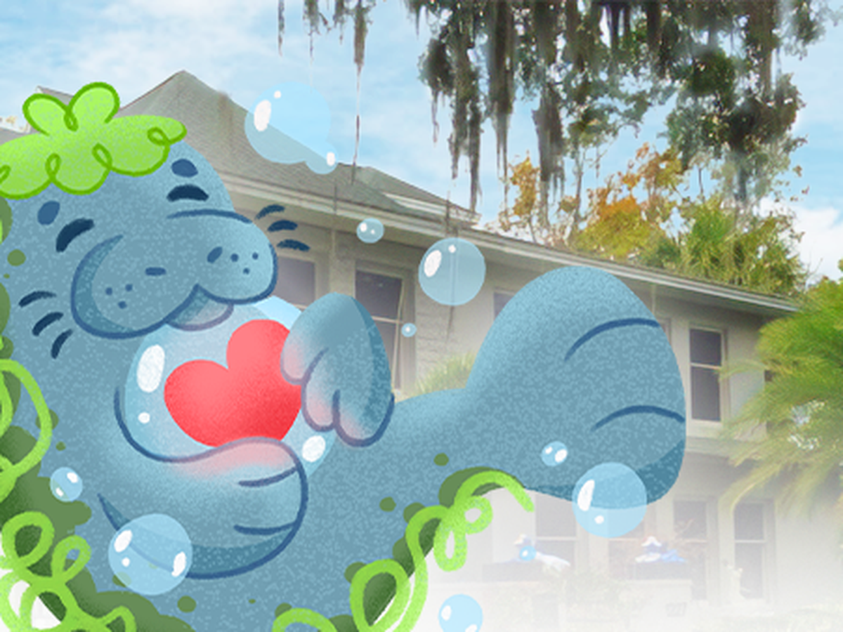 Fundraiser’s main image