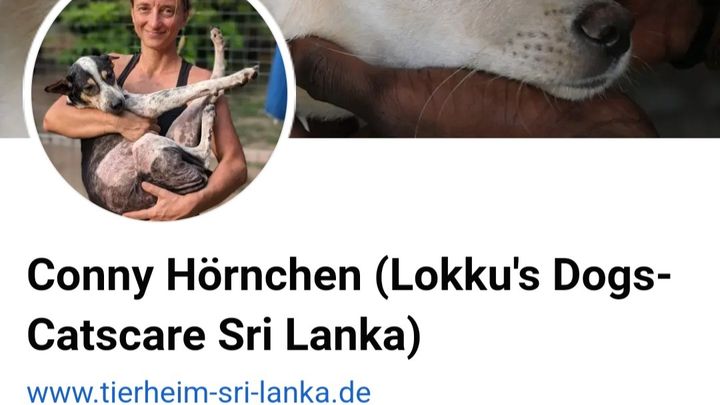 Saving street dogs in Sri Lanka campaign photo, 1 of 3