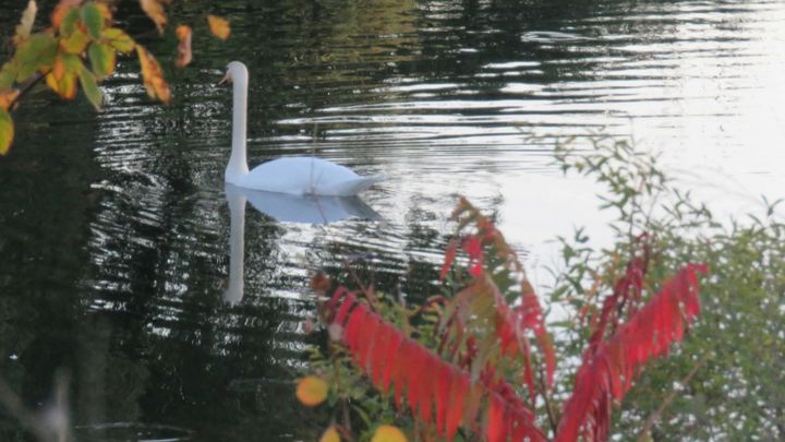 Support Martha’s Nature Photography Journeys campaign photo, 1 of 8
