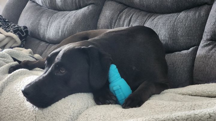 Main fundraiser photo