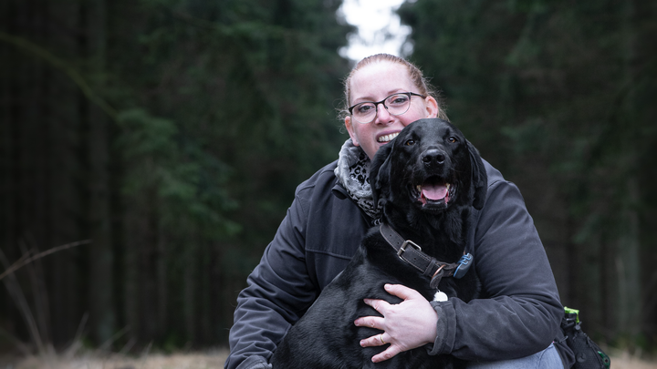 Aidez Sirius, mon labrador de 8 ans, à vaincre son cancer campaign photo, 1 of 3