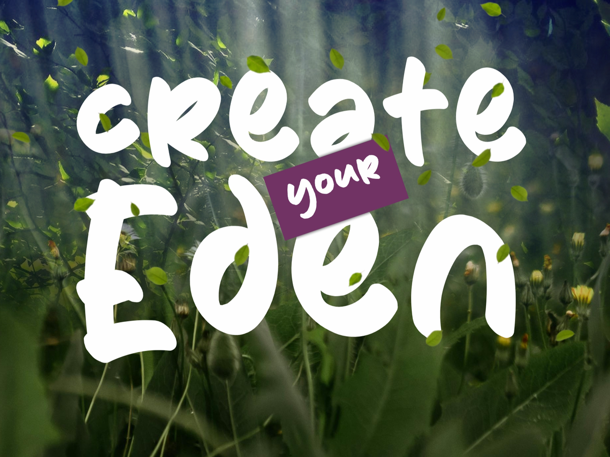 Donate to Launch Create Your Eden for Women campaign photo, 1 of 4