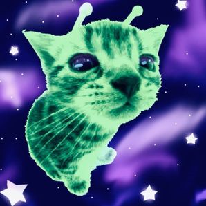 GoFundMe profile picture for @nox