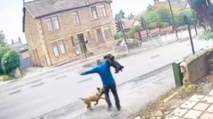 Main fundraiser photo