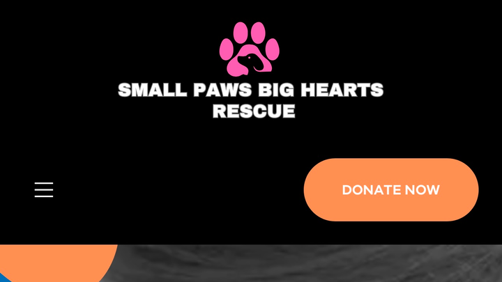 Donate to Aid Stranded Pets After Hurricane Melissa campaign photo, 1 of 8