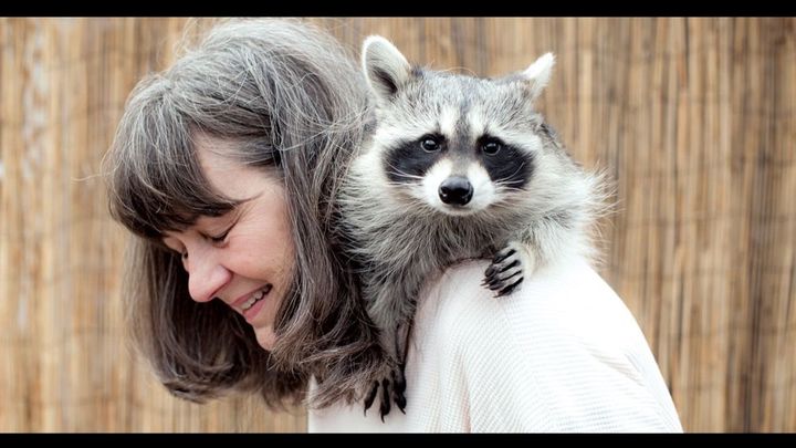 a Selfless Wildlife Hero: Support LeeAnn's Lifesaving work campaign photo, 1 of 3