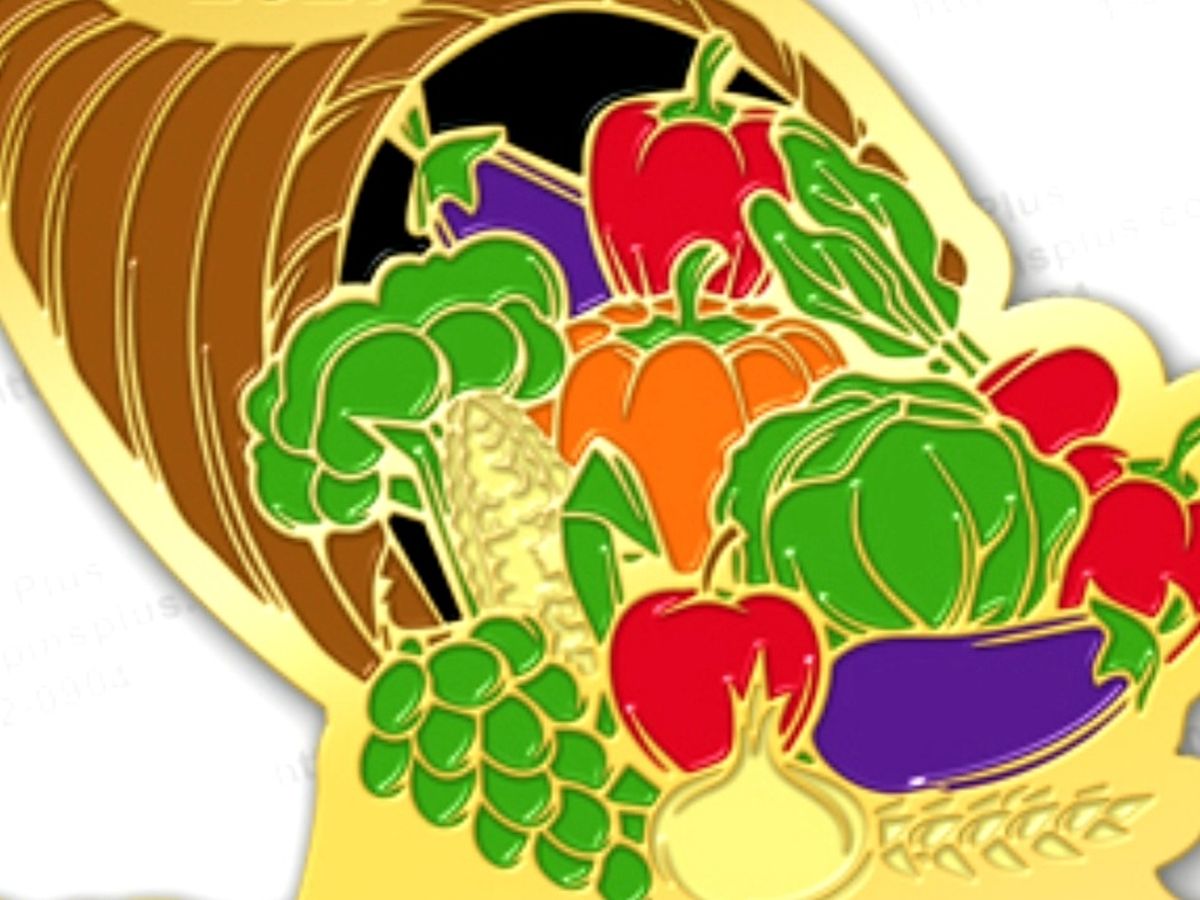 Fundraiser’s main image