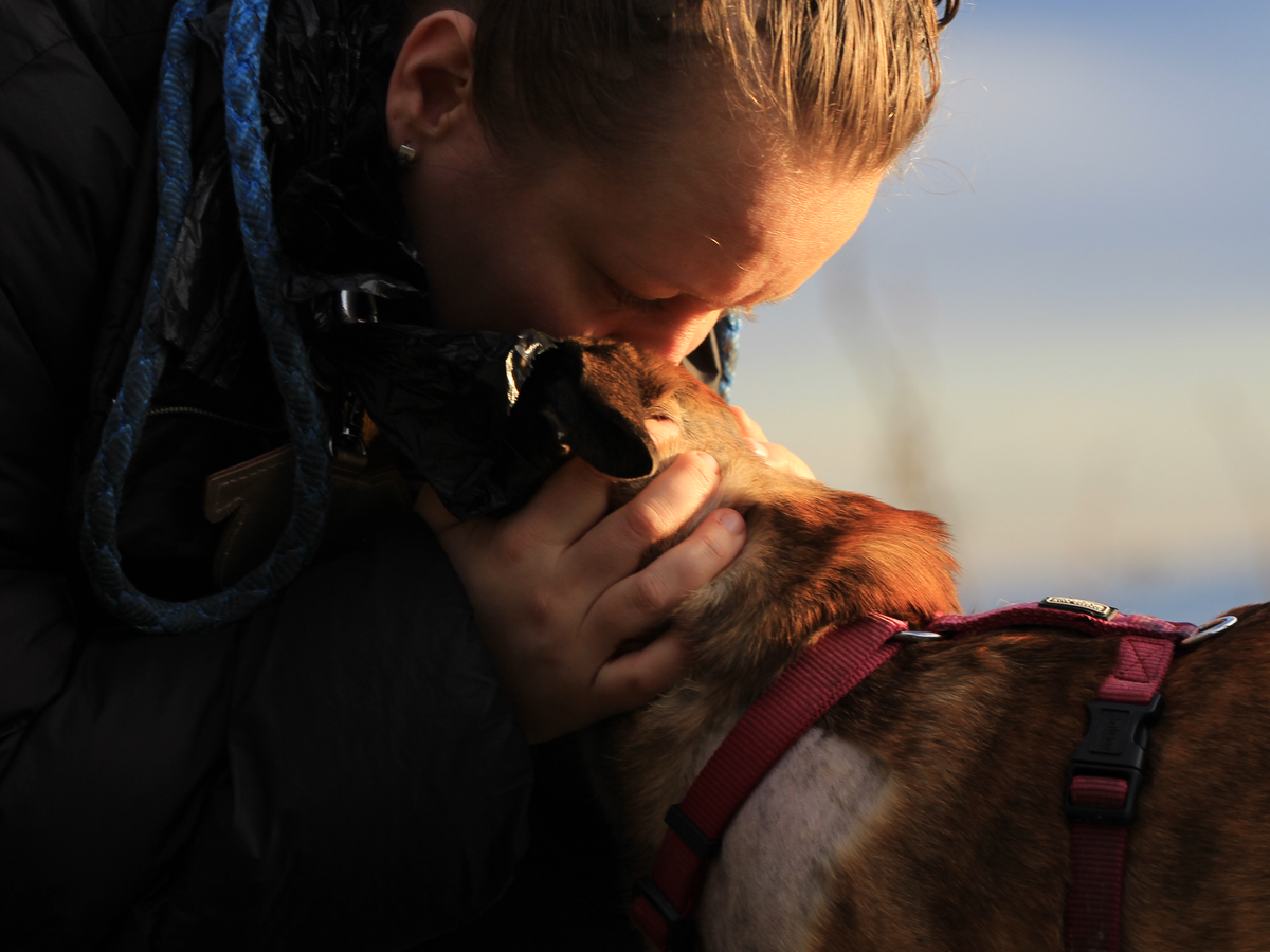 Fundraiser’s main image