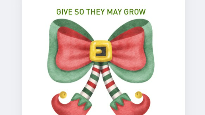 Buy a Christmas bauble for Children in need. campaign photo, 1 of 3