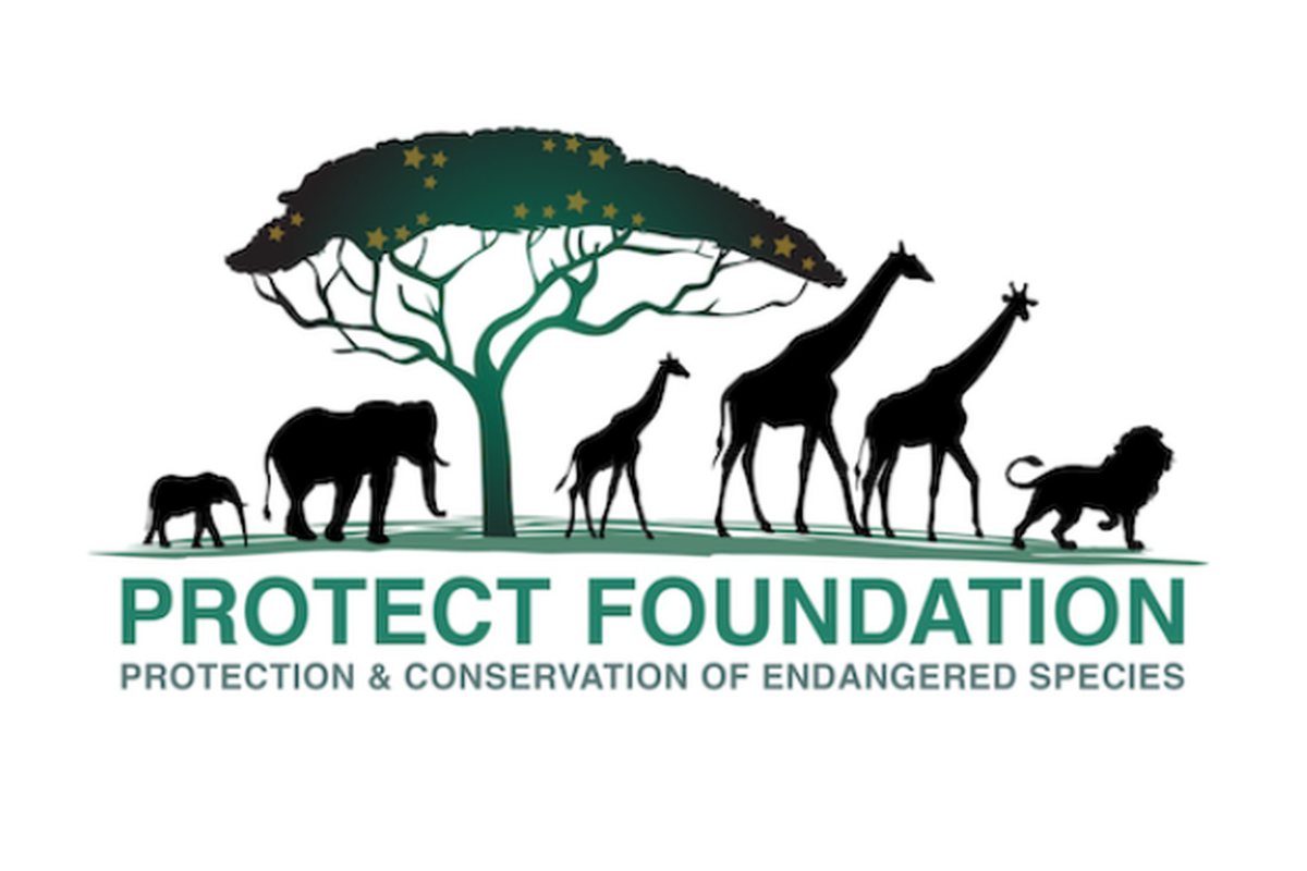 Fundraiser by Protect Foundation : Help PROTECT Endangered Wildlife