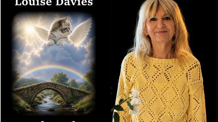 Louise Davies Memorial Fundraiser