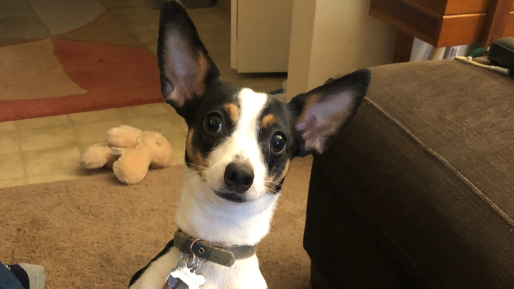 Misty's Medical Bills campaign photo, 1 of 2