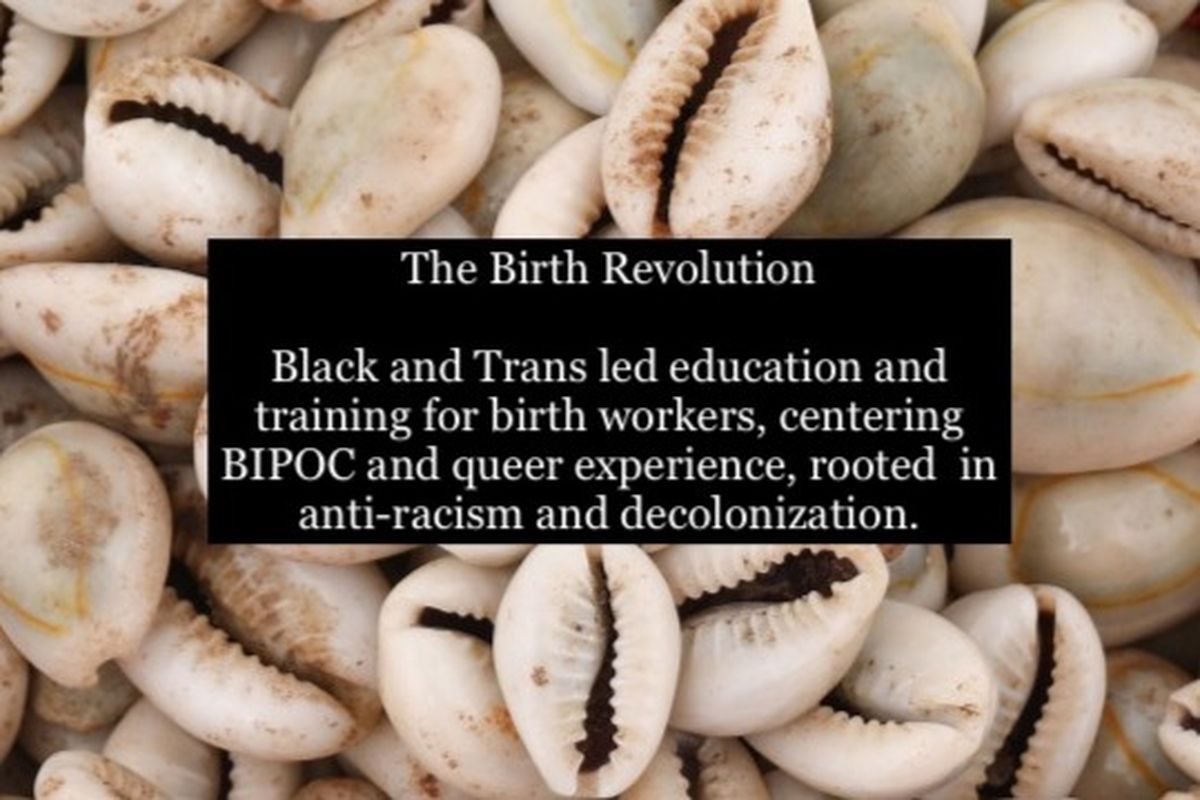 Fundraiser by Nadine Ashby : The Birth Revolution