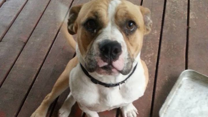 Main fundraiser photo