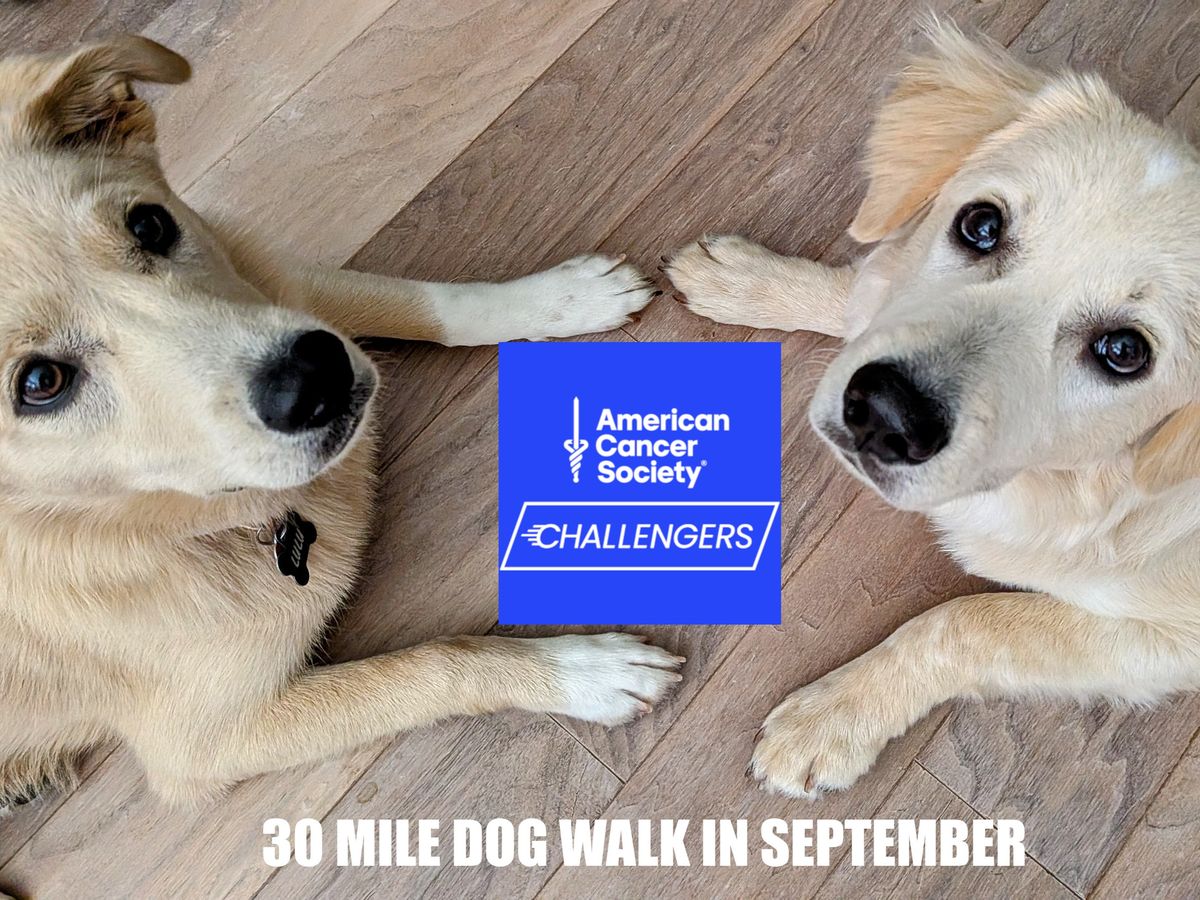Fundraiser’s main image