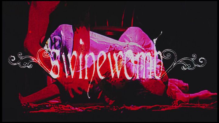 SWINEWOMB: SECOND COMING campaign photo, 1 of 8