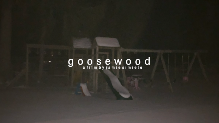 Support Goosewood - A Senior Thesis Film campaign photo, 1 of 8