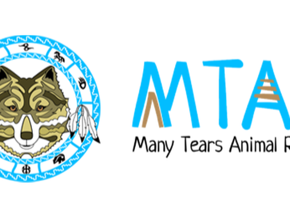 Fundraiser’s main image