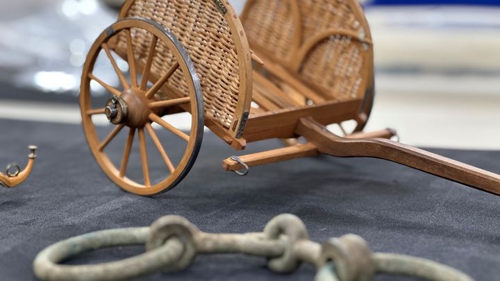 Build a chariot campaign photo, 1 of 5