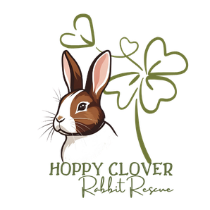 Hoppy Clover Rabbit Rescue