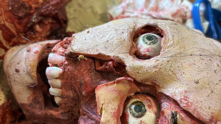 Help Me Create Realistic Zombies for My Movie campaign photo, 1 of 7
