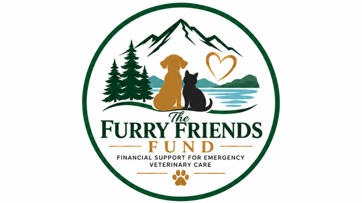 Give Pets a Fighting Chance with The Furry Friends Fund campaign photo, 1 of 3