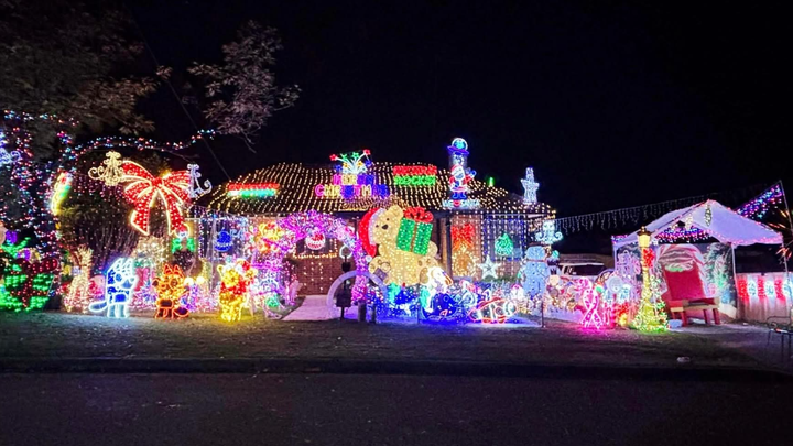 Christmas Lights For A Good Cause campaign photo, 1 of 5