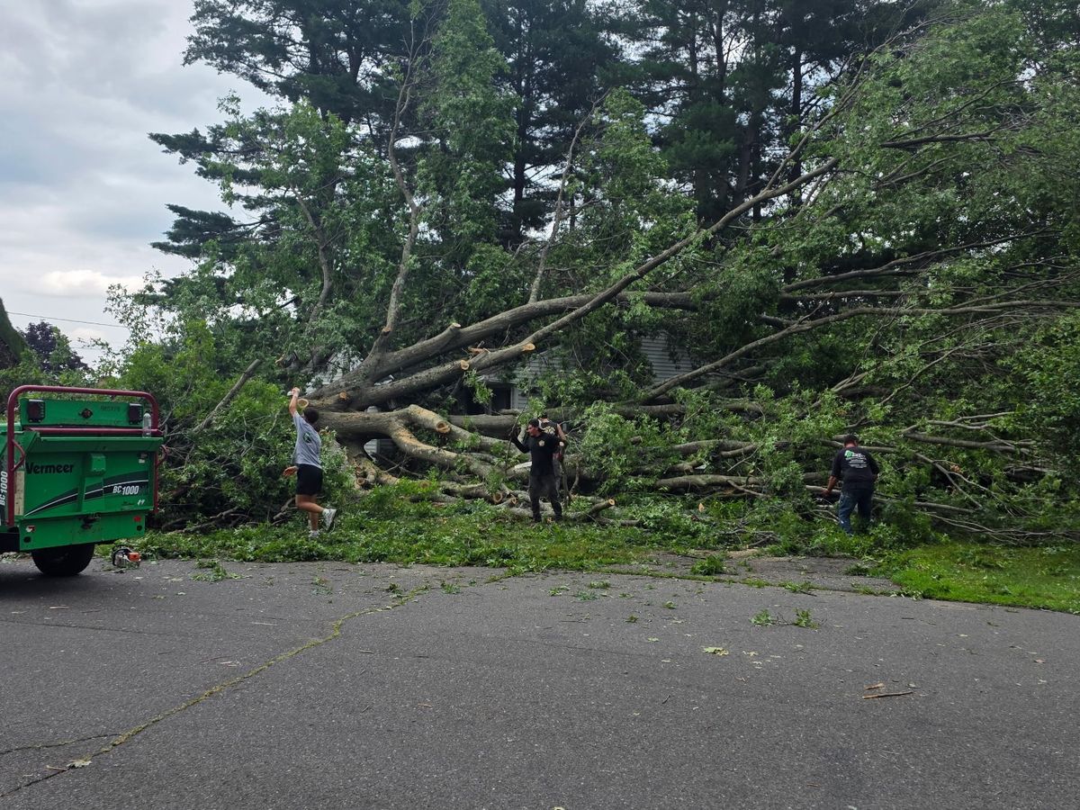 Support Sgt. Wells' Family After Storm Damage campaign photo, 1 of 6