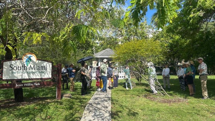 Save Jean Willis Flowering Tree Park in Miami campaign photo, 1 of 7