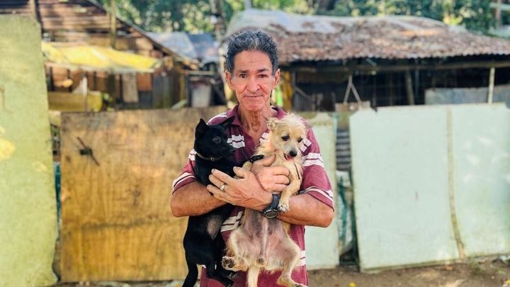Finish Don Cristóbal’s Mission for the Dogs campaign photo, 1 of 8