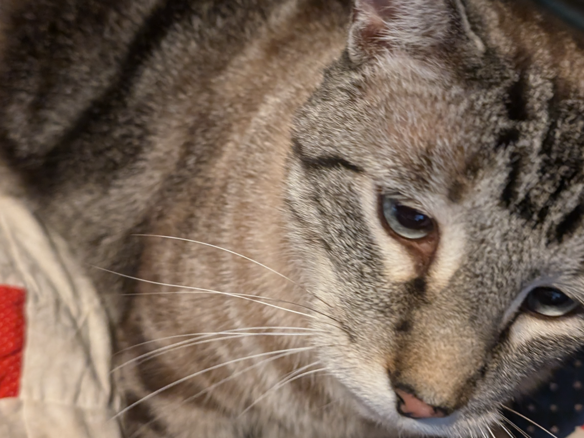 Atreyu's Surgery Fund campaign photo, 1 of 7