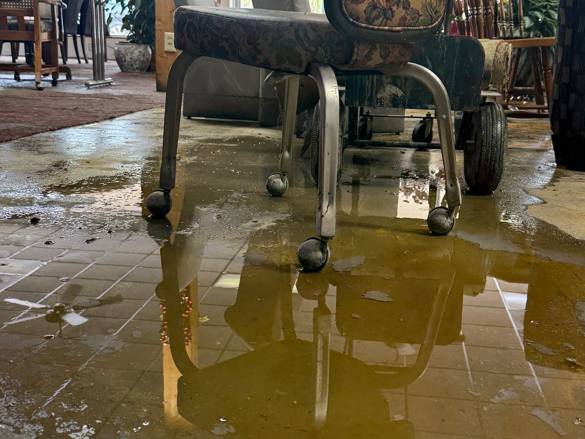 Support Green Grocers' Recovery After the Flood campaign photo, 1 of 7