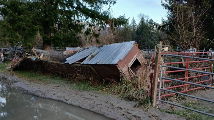 Rebuild Dragonfen Farm After December Flooding campaign photo, 1 of 7