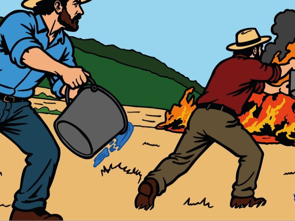Imagen principal de la recaudación de fondos